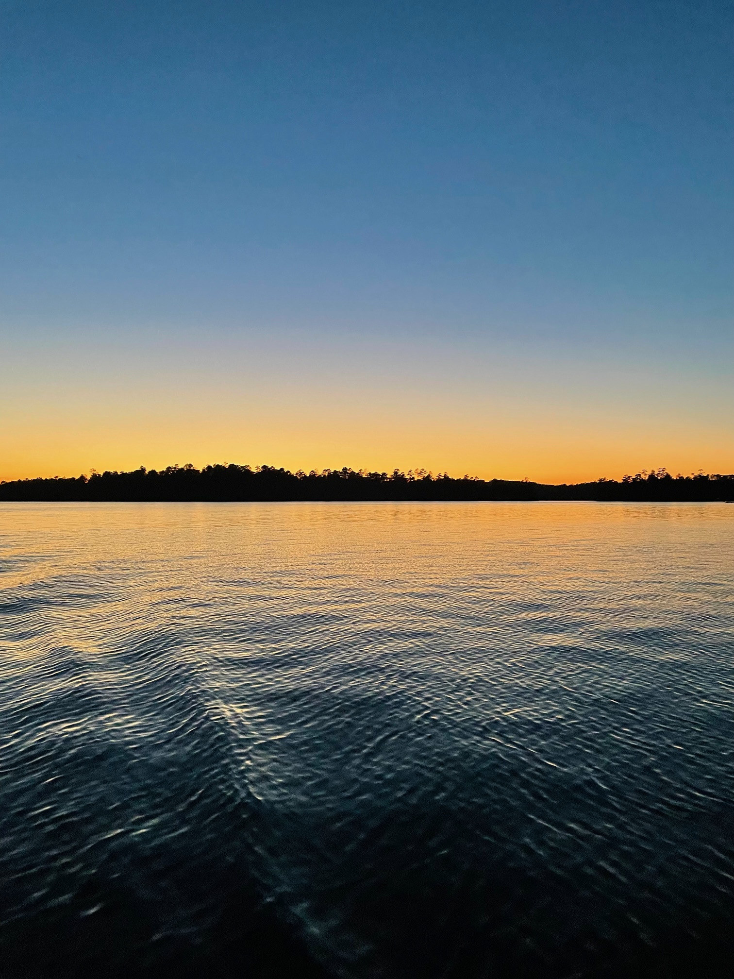 Lake Martin Boaters