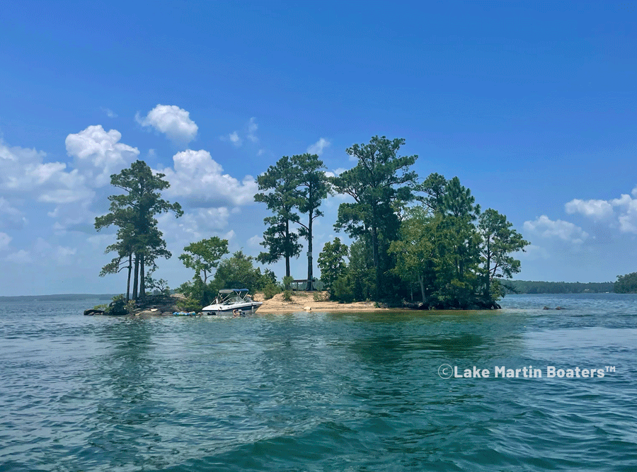 Cheeseburger Island Lake Martin