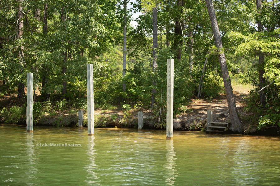 Smith Mountain Tower Boat Dock