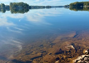 Calm Mornings on Lake Martin