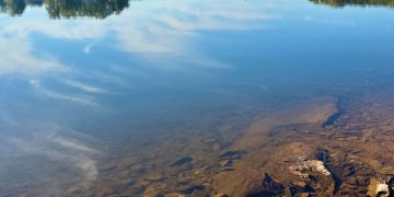 Calm Mornings on Lake Martin